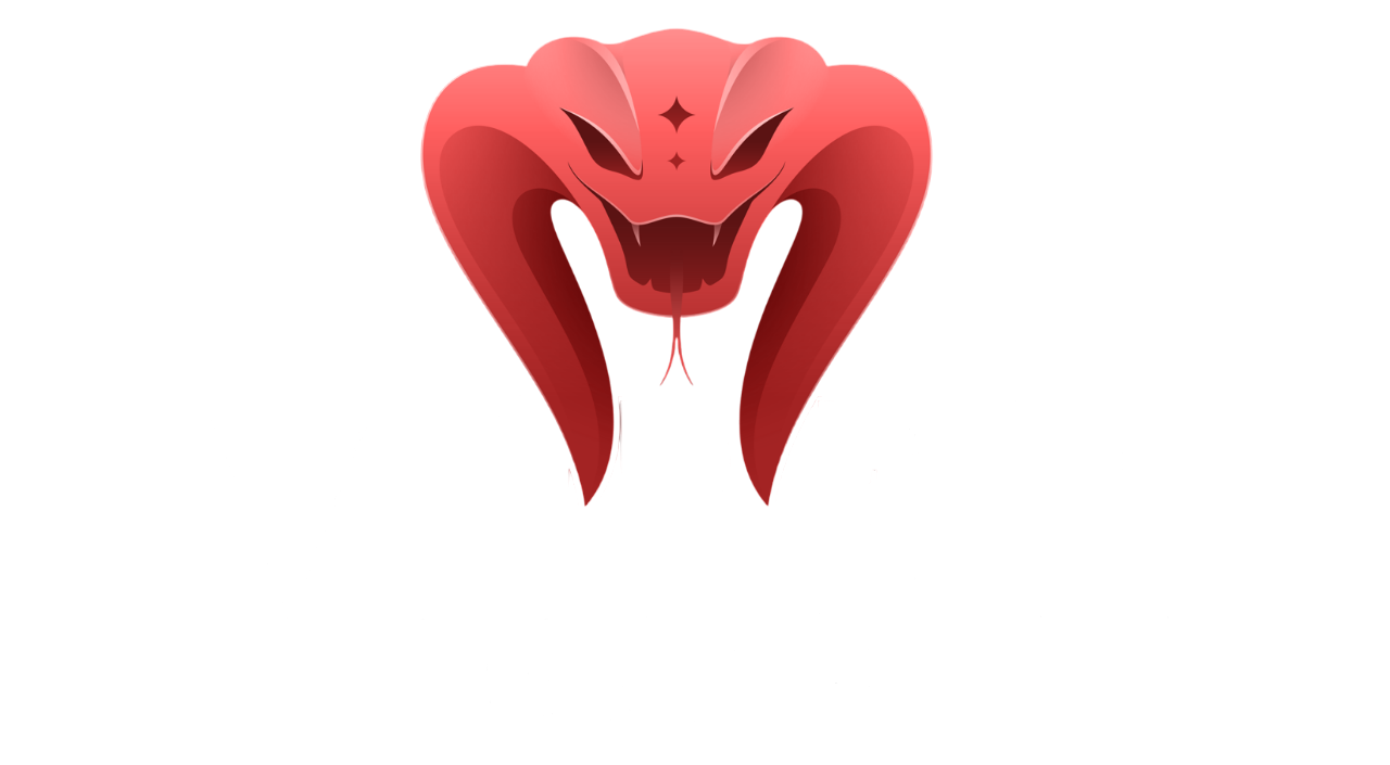 VIPER VAPE STORE